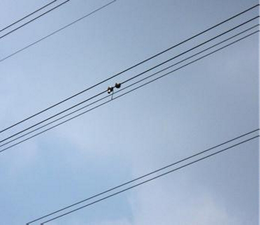 架空線路弧垂實時監測系統 架空線路弧垂實時監測系統